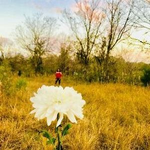 Meet your Posher, Mia